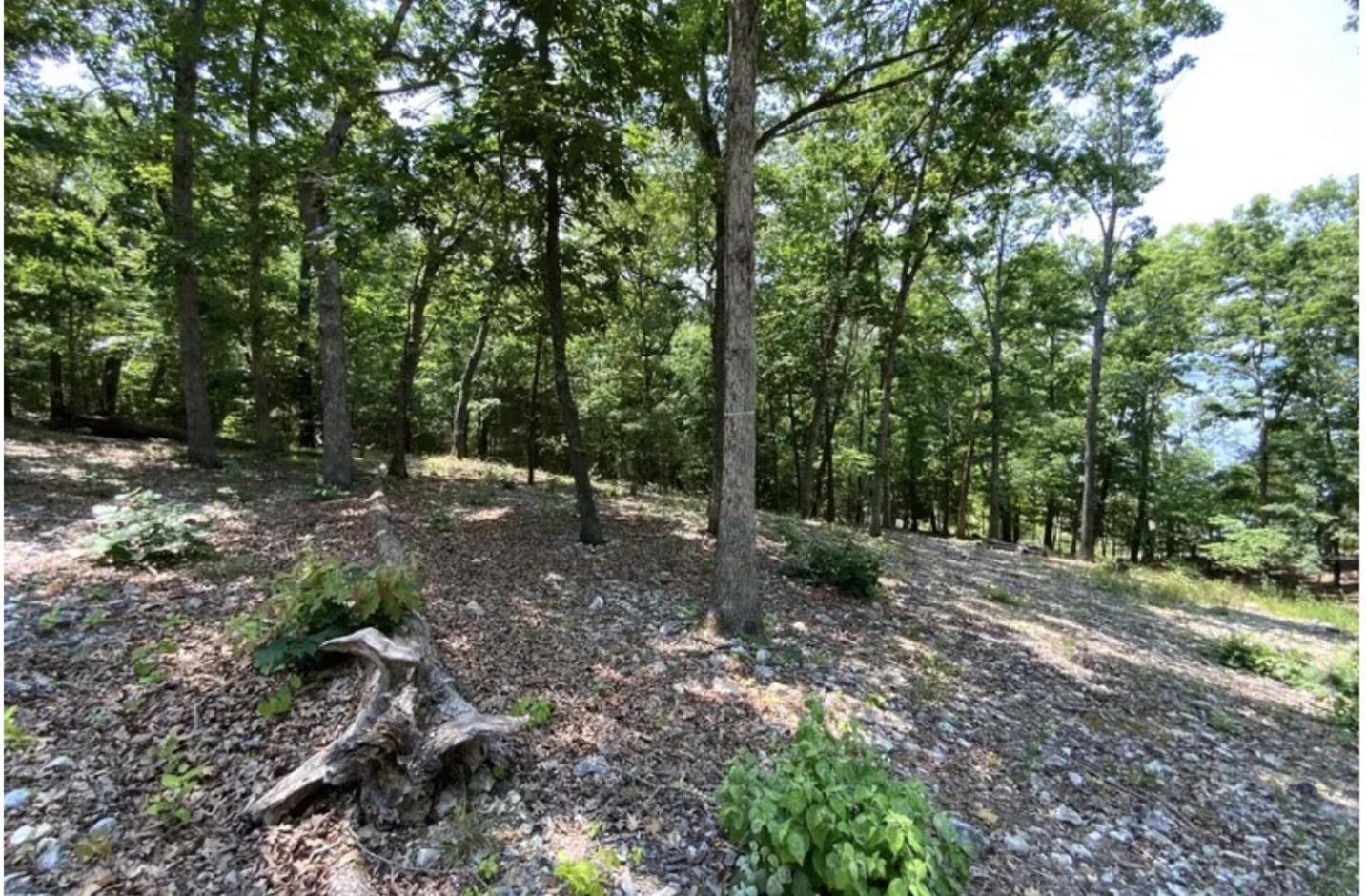 Driftwood Resort Bull Shoals 外观 照片